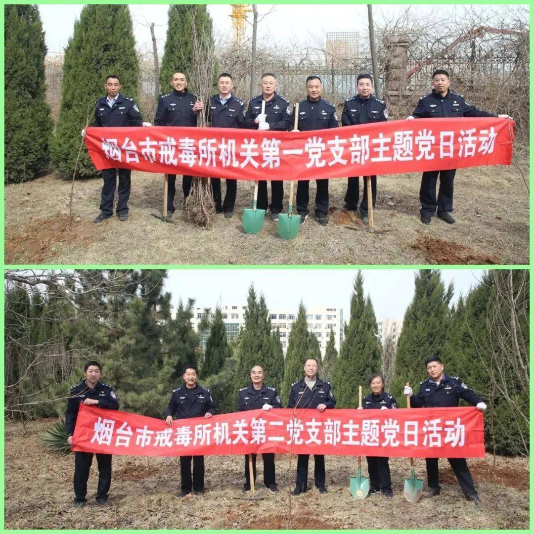 tracking苹果版:春色满园植新绿 “警”色怡人展新颜-第4张图片-太平洋在线下载
