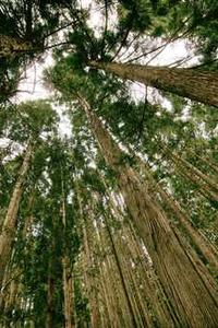 简单搜索下载安卓版苹果版-第2张图片-太平洋在线下载 简单搜索下载安卓版苹果版-第2张图片-太平洋在线下载