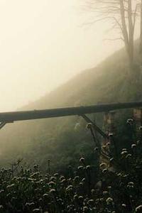 手机版俫-第3张图片-太平洋在线下载 手机版俫-第3张图片-太平洋在线下载