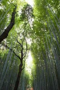 钉钉 苹果版 横屏-第1张图片-太平洋在线下载 钉钉 苹果版 横屏-第1张图片-太平洋在线下载