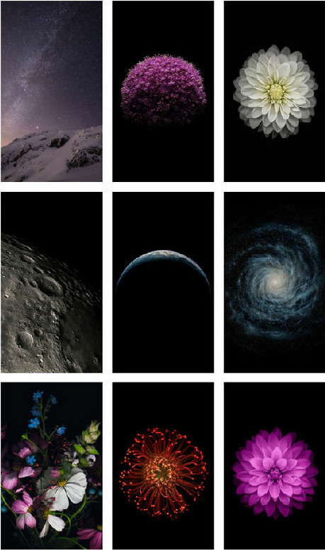 苹果壁纸原始版苹果8(iphone 8壁纸原图)-第4张图片-QuickQ官网 苹果壁纸原始版苹果8(iphone 8壁纸原图)-第4张图片-QuickQ官网