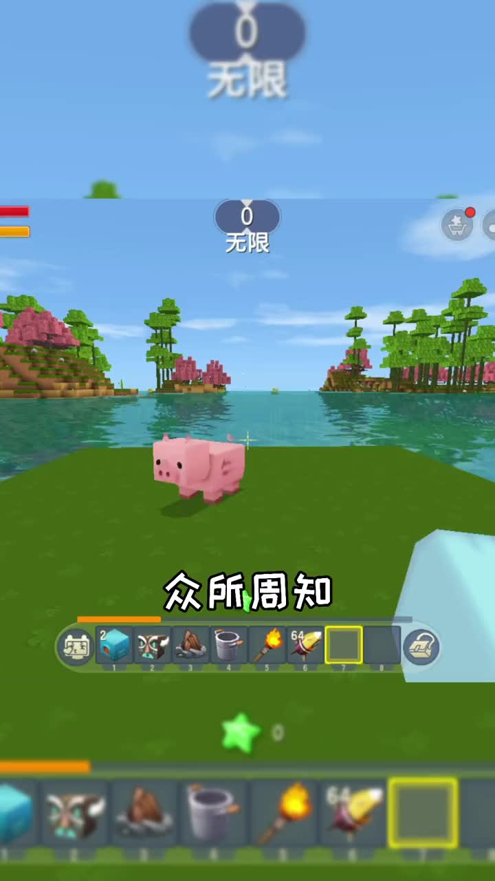 迷你世界手机版怎么驯(迷你世界里怎么才能驯服)-第5张图片-QuickQ官网