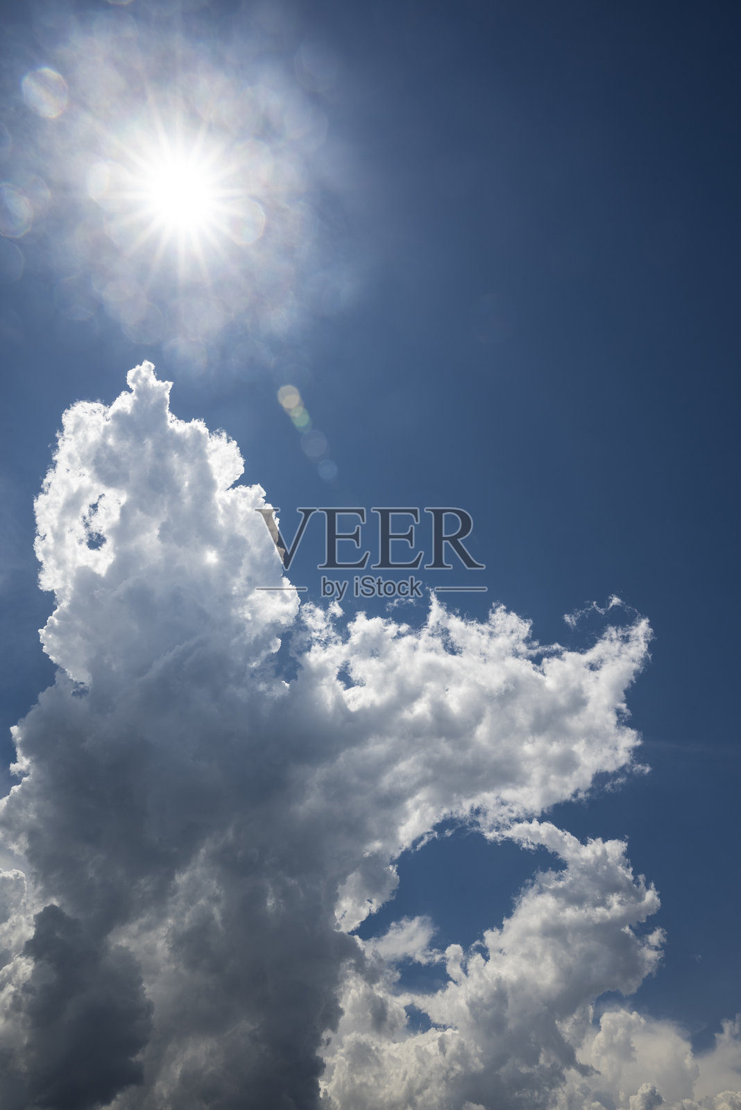 云景任务网手机版(云景任务网手机版下载)-第2张图片-QuickQ官网