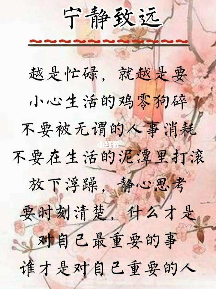 下载感悟人生全集手机版(下载感悟人生全集手机版视频)